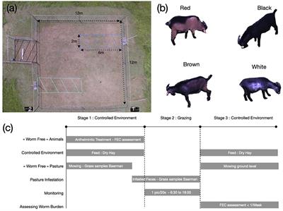 Assessing Goats' Fecal Avoidance Using Image Analysis-Based Monitoring